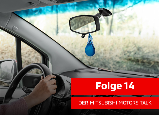 ... Felix Müller-Baumgarten: Skurriles Verkehrsrecht - Alt