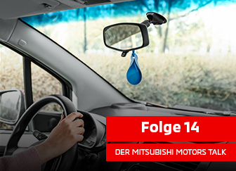 ... Felix Müller-Baumgarten: Skurriles Verkehrsrecht - Alt